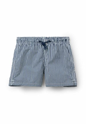 Blå og hvide vertikale stribede badeshorts med elastisk taljebånd og navy snor, lagt fladt på hvid baggrund.