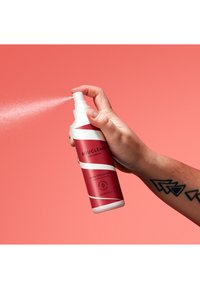 Miniatuurafbeelding 2