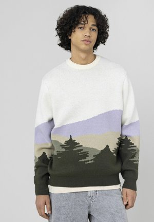 Pullover - purple green