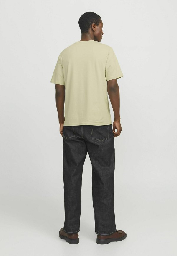 JORVESTERBRO CREW NECK - Print T-shirt - celadon tint3