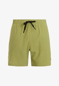 Niet geselecteerd, fern green