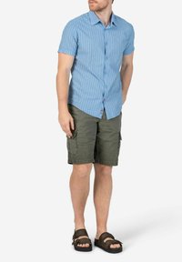 Short-sleeve blue striped shirt, green cargo shorts, and brown sandals. Shirt has button closure and subtle red accents.