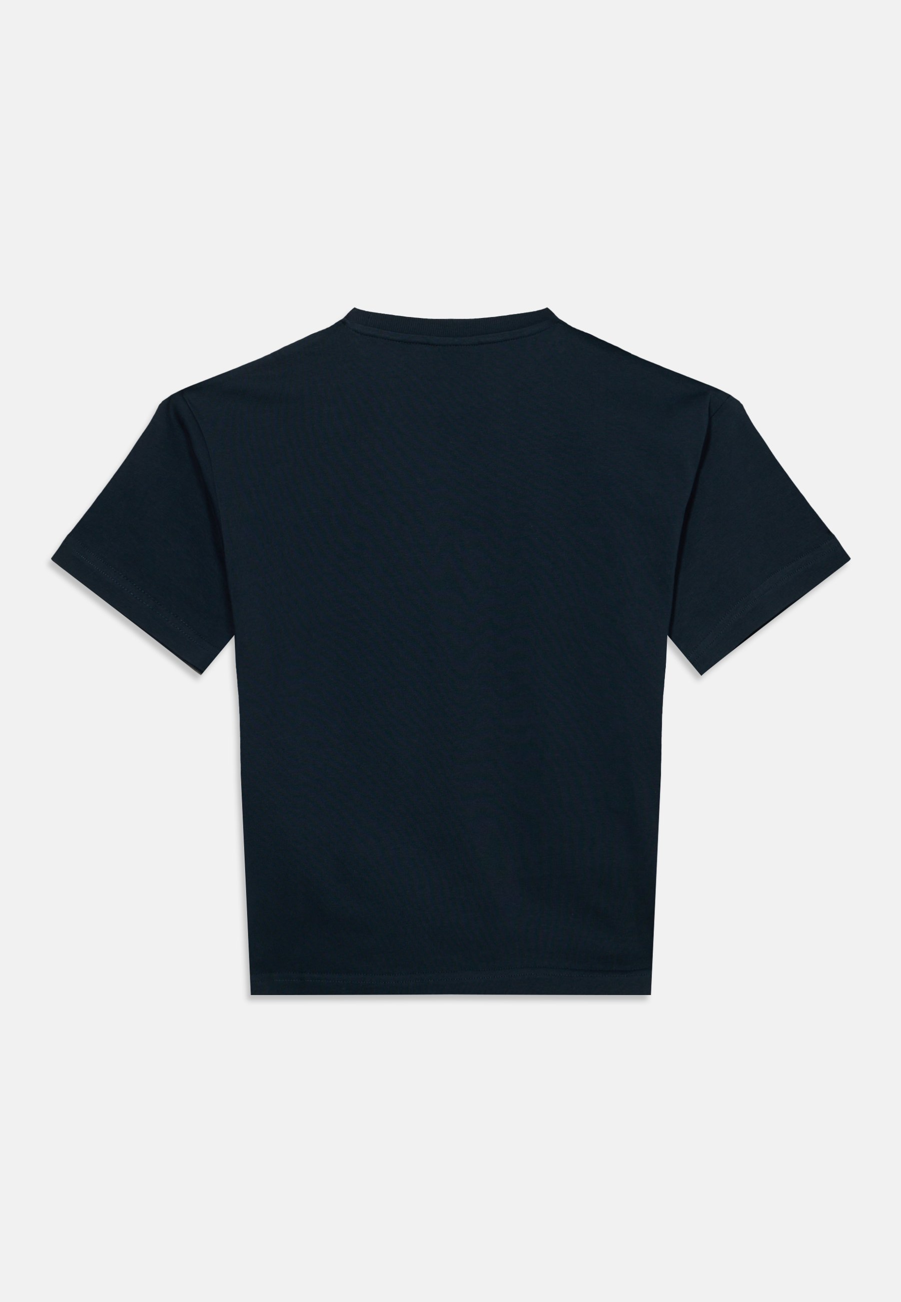 Lyle & Scott HEAVY WEIGHT RELAXED UNISEX - Basic T-shirt - dark