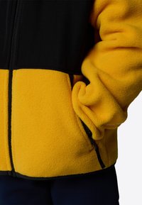 The North Face DENALI - Veste polaire - summit gold