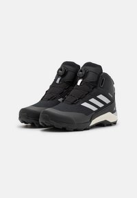 Adidas Terrex TERREX BOA UNISEX - Hikingskor - core black/silver metallic
