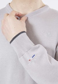Pull en tricot gris clair avec un col et des poignets côtelés. Présente un logo brodé et de petits accents tricolores sur la manche.