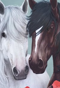 Due teste di cavallo vicine: una grigia con una lunga criniera ondulata, l'altra marrone scuro con criniera corta e una stella bianca sulla faccia. Lo sfondo è verde.