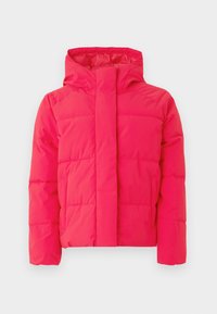 JXGLOBAL PUFFER JACKET - Giacca invernale - barberry