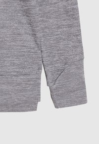 Nike Sportswear THERMA HOODED - Luvtröja - grey