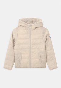 Abercrombie & Fitch Zimní bunda - beige