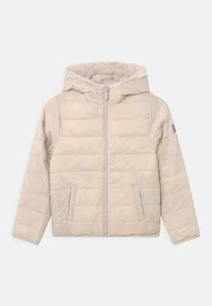 Abercrombie & Fitch COZY PUFFER - Zimní bunda - stone