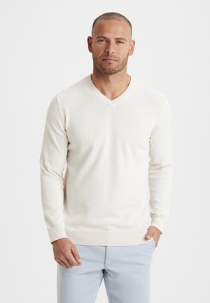V-AUSSCHNITT - Strickpullover - beige
