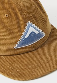 Patagonia UNISEX - Gorra - coriander brown