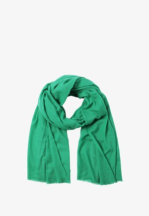 Sciarpa verde realizzata in morbido tessuto, caratterizzata da una superficie liscia, forma rettangolare e bordi grezzi per un finale informale.