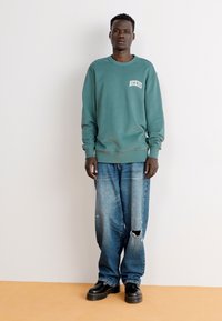 Dickies AITKIN CHEST UNISEX - Felpa - dark green