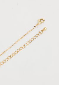 Collana in oro con anelli ovali, dotata di un gancio a moschettone a un'estremità e di una chiusura arrotondata all'altra estremità, texture liscia.