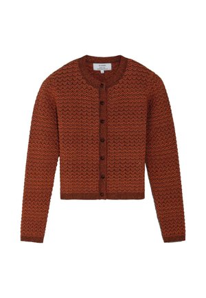 ZIGGY WAVY - Chaqueta de punto - terracotta