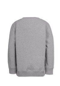 Grå sweatshirt med långa ärmar, rund hals och ribbade mudd och nederkant. Materialet ser mjukt ut med en slät textur.
