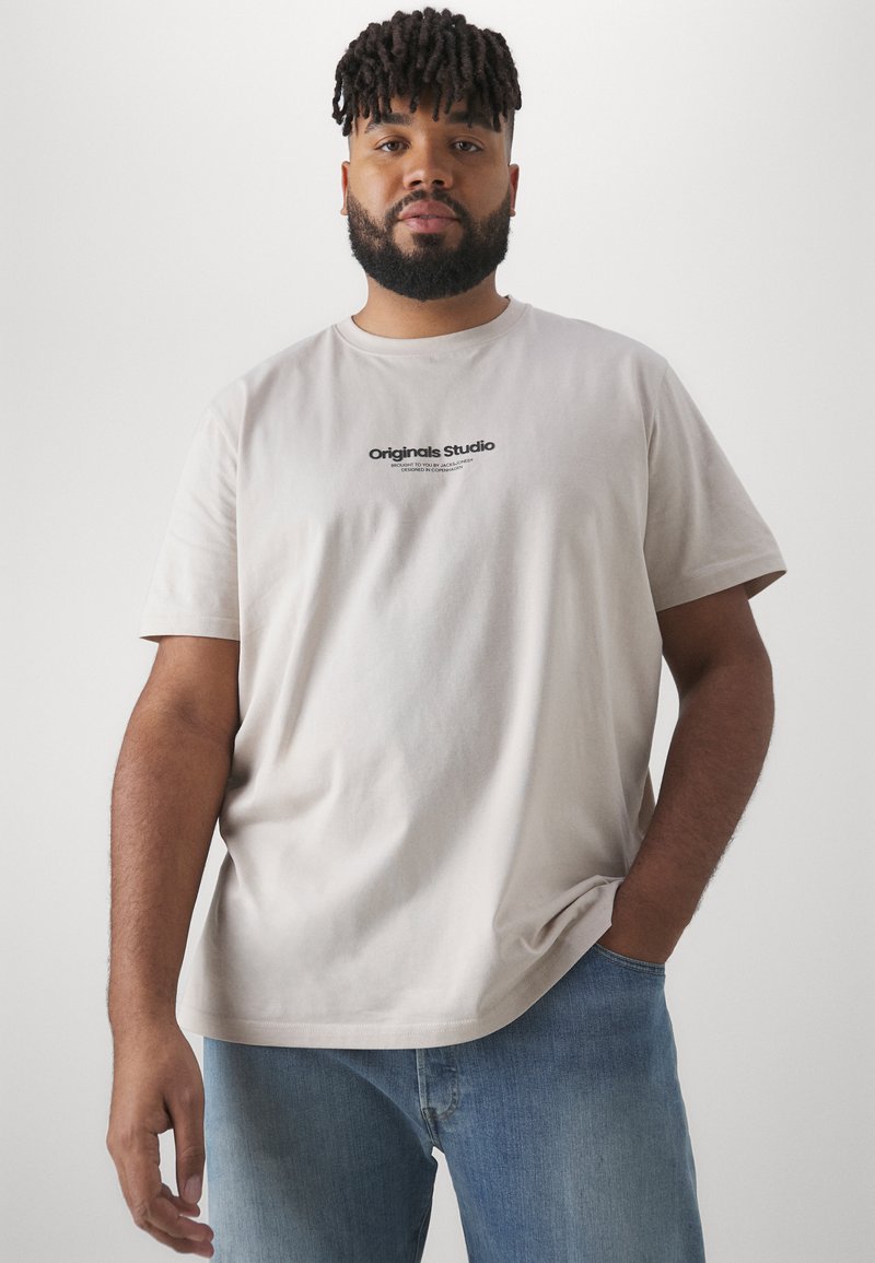 Jack & Jones JORVESTERBRO TEE CREW NECK - Camiseta estampada - moonbeam