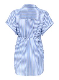 Robe à manches courtes rayée verticalement bleu et blanc avec une taille ceinturée et un col rabattu, vue de dos.