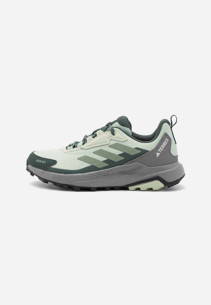 Adidas Terrex ANYLANDER - Chaussures de marche - linen green/silver green/legend ivy