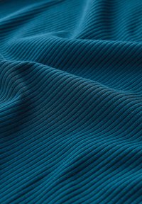 Seasalt Cornwall - Bluzka z długim rękawem