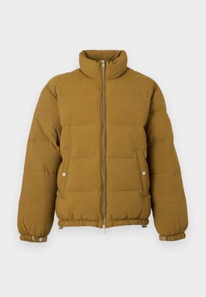 Replay, JACKET - Veste d'hiver - plantation