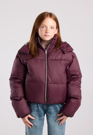 America Today, COAT - Winterjas - bordeaux