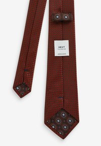 Next SAGE WITH FLORAL SET - Kapesník do obleku - burnt orange