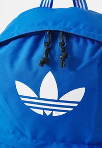 Mėlynas poliesterinis kuprinės su balta dryžuota logotipo. Turintis pintos virvės uždarymą ir tvirtą mėlyną aparatūrą. Tekstūruotas paviršius ir sustiprintos siūlės.