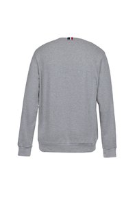 Sweat-shirt gris clair à manches longues vu de dos avec des poignets côtelés et une petite étiquette rouge, blanche et bleue au col.
