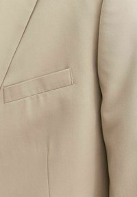 Jack & Jones PREMIUM JRPFRANCO - Puvuntakki - weathered teak