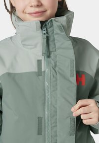 Helly Hansen LEVEL UNISEX - Winterjacke - cactus
