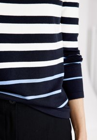 Navy- und weiß gestreifter Pullover mit hellblauen Akzenten, aus weichem Strickstoff, mit rundem Halsausschnitt und Dreiviertelärmeln.