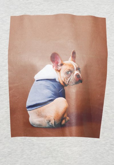 Grafika zobrazuje francúzskeho buldoga oblečeného v modrej mikine s bielou kapucňou. Pozadie obrázku je svetlo šedé s hnedým rámom.