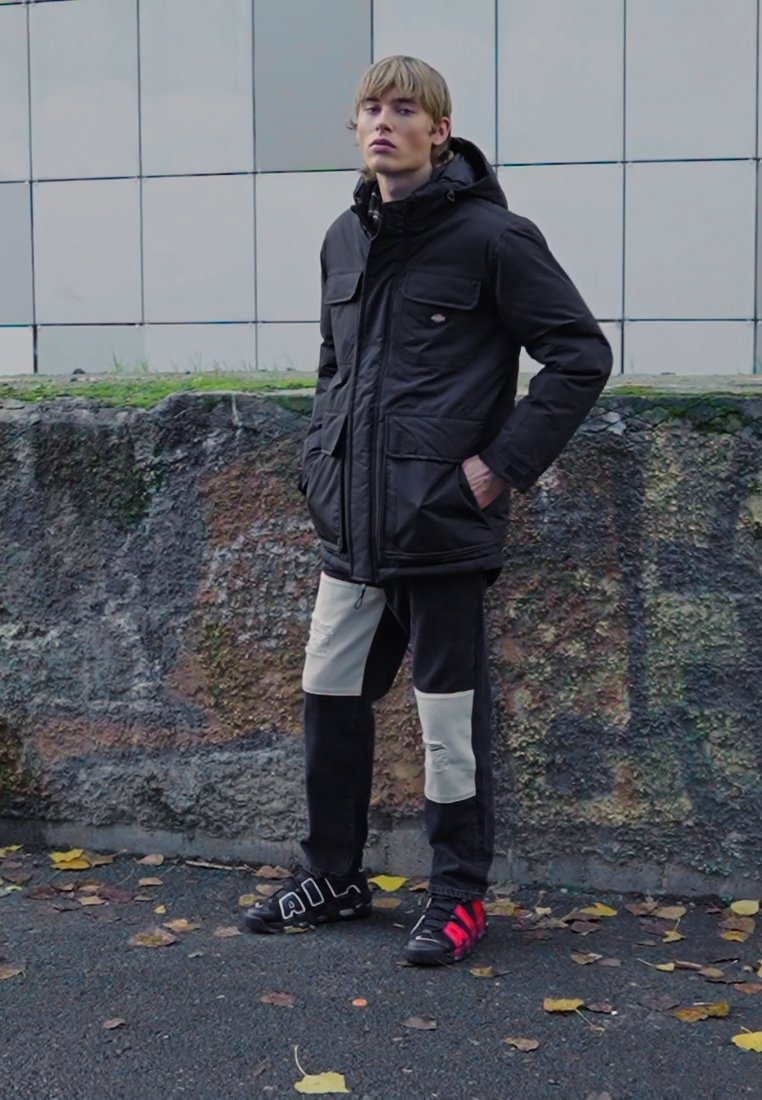 Dickies GLACIER VIEW EXPEDITION - Abrigo de invierno - black/negro