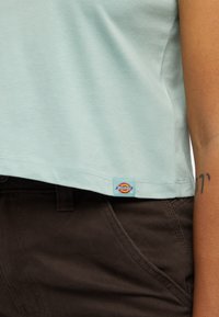 Dickies AITKIN - Camiseta estampada - blue surf