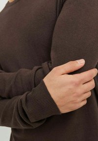 Jack & Jones JJEEMIL CREW NECK - Neule - seal brown