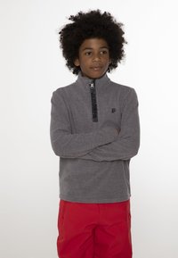 Grijze fleece pullover met een hoge kraag, halve rits aan de voorkant en zwart logo-detail. Beschikt over lange mouwen en een regular fit.