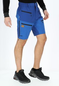 Swedemount LOFOTEN - Träningsshorts - navy blue