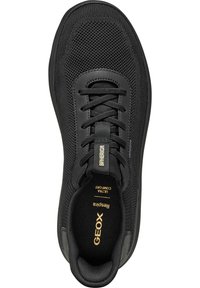 Zapatilla negra con parte superior de malla y acentos sintéticos, con cordones planos y una plantilla textil. Detalles en oro en el logotipo en la lengüeta y en la plantilla.