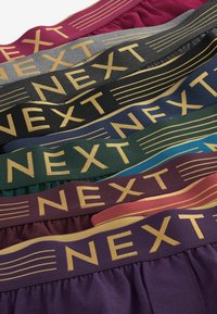 Next TEN PACK - Boxershorts - rich colour