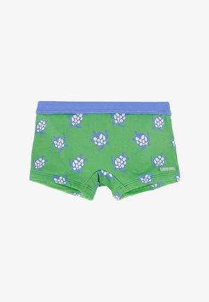 Bañador verde para niños con cinturilla azul y estampado de tortugas azules y blancas por todo el diseño.