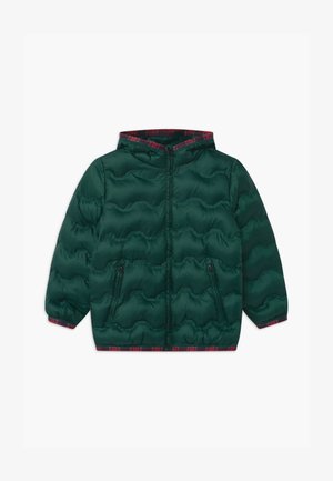 HARRY ROCKER - Winterjas - dark green