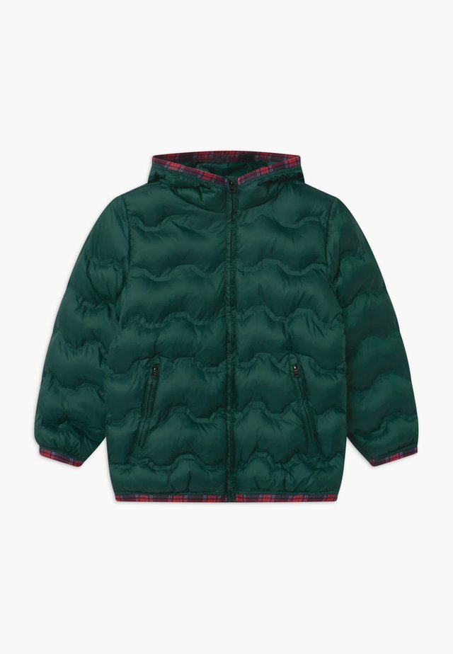 HARRY ROCKER - Winterjacke - dark green