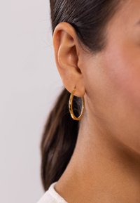 PURELEI INNER SHINE - Ohrringe - gold-coloured