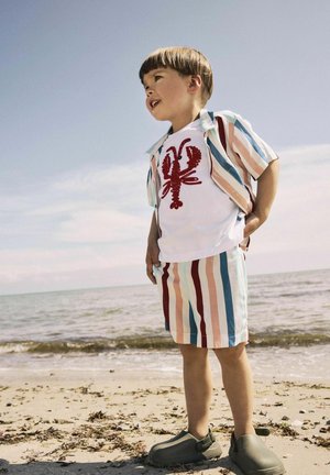 Camisa de manga corta a rayas en colores pasteles, camiseta blanca con diseño de langosta roja, pantalones cortos a rayas a juego y zuecos verdes.