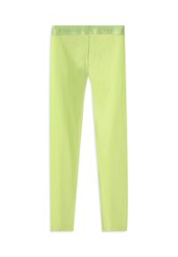 Leggings de color verde claro hechos de material elástico con una cinturilla ancha y elástica que lleva impreso el nombre de la marca "FREDDY" en un color a juego.