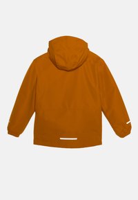 Jack Wolfskin ICELAND 3IN1 - Blouson - autumn leaves