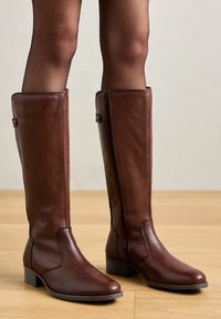 LEATHER - Saapad -  brown